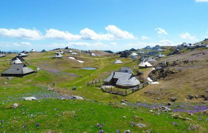 Kamniska Bistrica Koca Predilnica Velika Planinaヴィラ エクステリア 写真