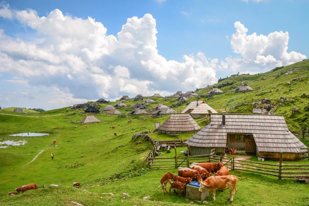 Kamniska Bistrica Koca Predilnica Velika Planinaヴィラ エクステリア 写真